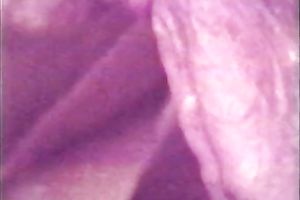 Exquisite vintage dark brown blows rod of her boyfriend