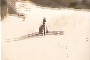 The freakiest teaser movie with my sexy hotwife on the beach