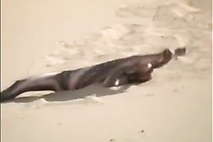 The freakiest teaser movie with my sexy hotwife on the beach