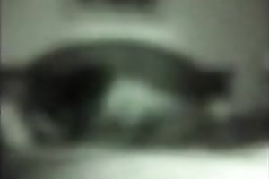 I love sticking my ramrod into my wife's swollen pussy