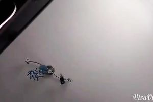 My chunky slutty wife is making love to my weenie with her hungry face hole on camera