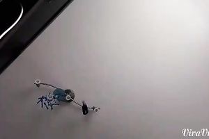 My chunky slutty wife is making love to my weenie with her hungry face hole on camera