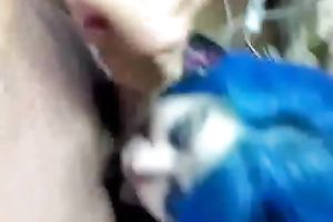 Slutty punk legal age teenager hottie with blue hair gives head on POV