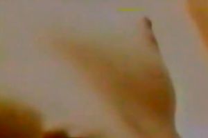 Charming and kinky white sweetheart got her muff screwed hard