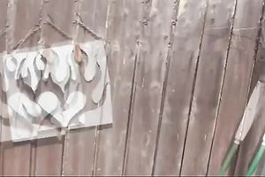 Redhead white skank eats shlong and bonks a stranger