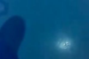 Just fingering and filming my legal age teenager fuck ally on webcam