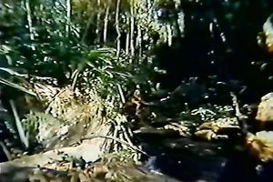 Warm interracial outdoors sex with smiling dark brown gal