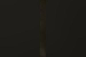 Asian dark brown tramp thoroughly blowing my dick on POV tape