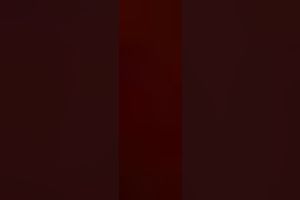 Frisky and perverted white women sucking my ramrod whilst I film her in POV