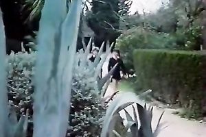 Just a classic vintage wild dark brown fed with pecker