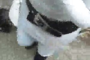 Cool picked up honey gave me resigned oral-service outdoor