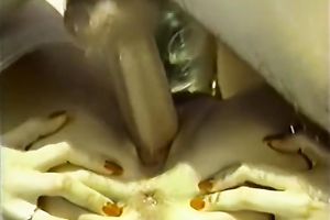 Hot and juvenile white stud feeds breasty milf with his prick