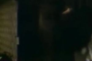 Blonde lascivious and hawt babe enjoyed a big ramrod of her ally