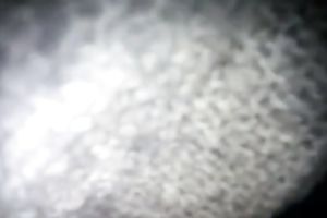 Dirty like mud brunette hair girlie of my buddy is busy with engulfing his tool