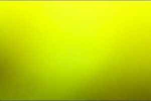 Check out the bushy naughty bawdy cleft of my white bitch in ottoman