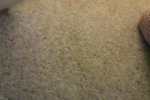 My perverted large breasted chick just enjoys fucking with sex-toy
