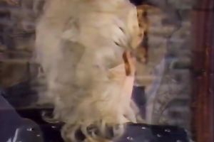 Elegant and marvelous golden-haired sweetheart screwed in a nasty classic porn scene