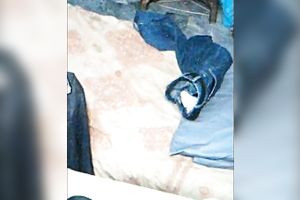 She went to the shower room after a tiny dilettante three-some