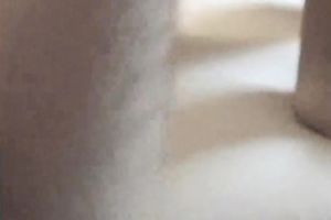 Zealous black haired nympho Courtney rides her BF's powerful cock
