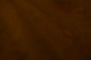 Fat stinky brunette hair whore gives my aroused knob a oral-sex