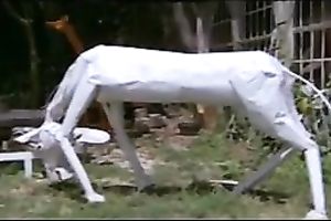 Babes always spred their legs when watch large erected weenie