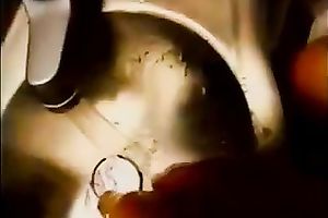 Lusty sweetheart I met on the plane receives her muff and anal opening pushed with my cock