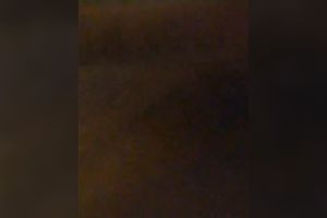 Messy finger fucking plump pussy of my old Swedish older Married slut