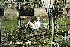 These bodacious skanks are fighting for this dude's goo