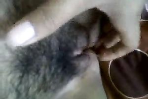 Lusty pale slut naked and teased her own shaggy bawdy cleft for some pleasure