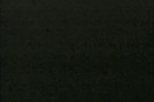 Blonde wench and brunette hair wench share one stud for three-some