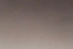 I love fucking my ravishing juicy cookie with my favorite big dark toy