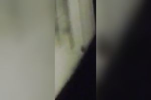 Wife has vibrator fun with magic wand