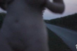 Caught My Wife's Sensual Roadside Pleasure, Her Fingers Diving Deep.
