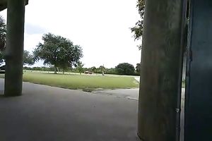 54yo slut wife fucking myself at the park