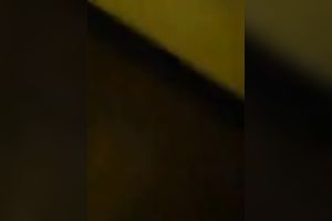 Hairy beefy muff of immodest Filipina doxy merited a quite proper fuck