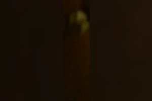 My flirtatious girlfriend gives me an astounding oral-sex