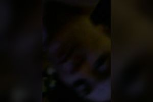 My flirtatious girlfriend gives me an astounding oral-sex