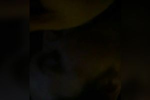 My flirtatious girlfriend gives me an astounding oral-sex