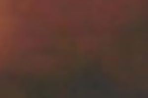 My sexually charged hottie rides my penis reverse and face to face