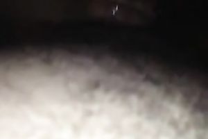 Whore takes my ramrod from wazoo to face hole with no problem