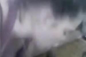 Cum-addicted bimbo sucks my BBC like a natural born 10-Pounder sucker