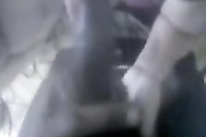 Cum-addicted bimbo sucks my BBC like a natural born 10-Pounder sucker