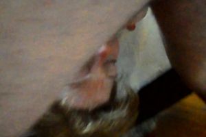 My Wife upside down sucking me