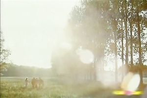 Mesmemizing redhead chick on the bed fondled and tempted