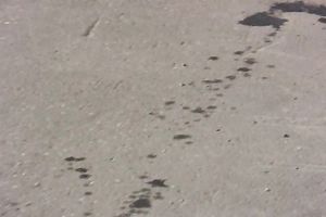 Brunette white horny white wife in constricted jeans piddles in public place