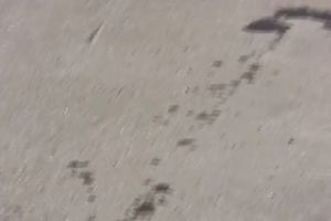 Brunette white horny white wife in constricted jeans piddles in public place