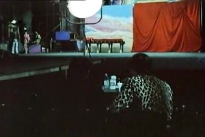 Retro porn compilation with oral stimulation scene and exposed performance