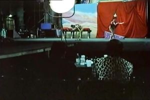 Retro porn compilation with oral stimulation scene and exposed performance