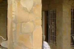 Exquisite suntanned classic babes sucking and fucking by the pool