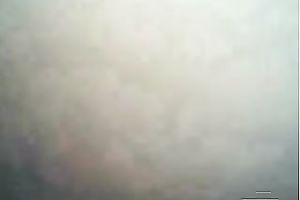 Do you want me to show u my bulky Turkish wet crack on web camera